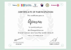 Participation Certificate