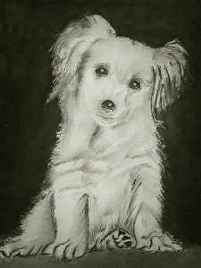 caf71a002cca771552f334df9d029aa3