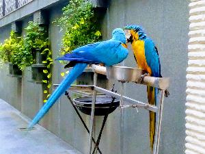 42c1d11a593ef39c4a39e68d51f073a2