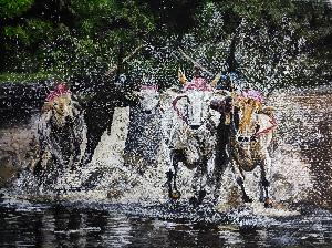 4d5dc75df4f688a980afe7c80bfeb6b9