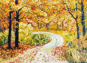 cefaa64989a142fdfe1293dbdba36ab6