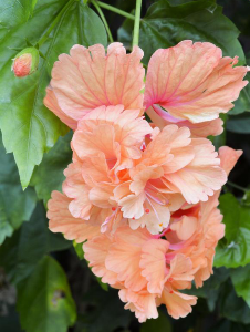 6d53742e9033e4370221bb0205343d9e