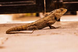 ac6192ae7a6f5c070ec133e4175be123