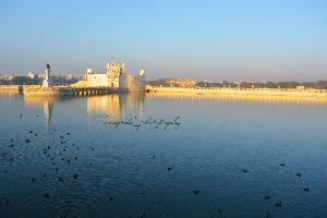 10c42288abeafcb44714a34471c36bdc