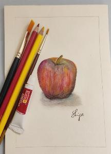 28a9200b405848a76038713f1c4230f9