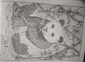 4f6bd92c1756d9bc64da0a3a8578a1aa