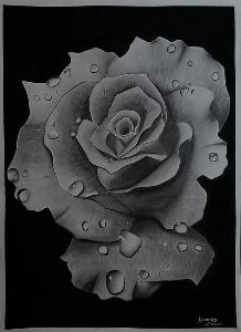 b13fd27d79959b4d0f14087f387ecc75