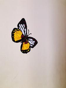 029fd8cdf1a8f5d3502a212ce6a278ba