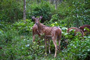 dbbc806db1307d4416d3da1bf016f702