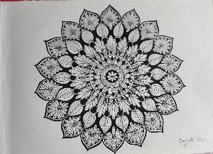 583c99e5e97d4b2b02122d2b53ecb81e