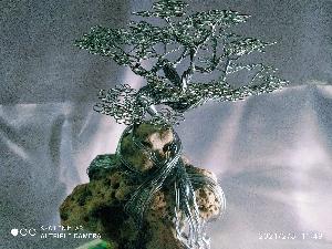 22c7920bd0e110ab9816263efcccf040