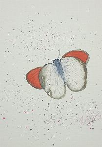 8114bd3ba851fc49d7b5691b81aa9613