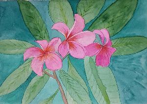 f62faa98468f72209abd66b1ced4e6dc