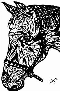 4e10da07a035569cb65e2f5352147583