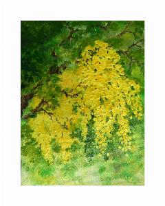 1af5183521ebf5dc44b5a1b930a86f58