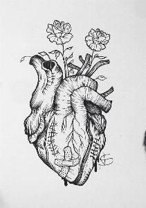 3e26026130a276cc463fee6dde526d69