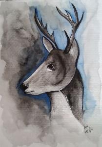 f7199a3374c72f9554129c6583d4079c