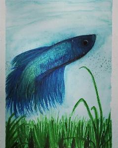 471a1bfd4cdb4fe469f5f43dc1519b80