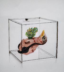 de4b9469d56e2133b45a023505ba3229