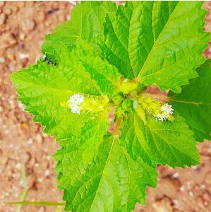 8673ce83bd5b546e20050375fb872bba