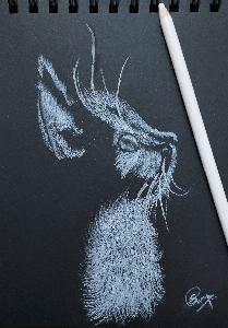 56476e45b51ae9f4de1808c4ee07865b