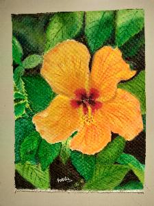 02f2ec781c5aa5405ccf0c028672d4c9