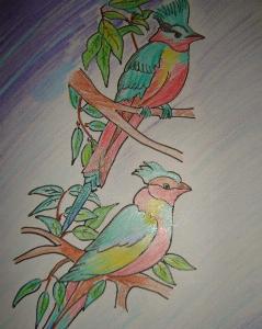 c2e760a9ba07f6c7377ed1891e3aa620