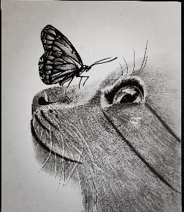 8b16e4bde1bfd979bde10d2cb6507314