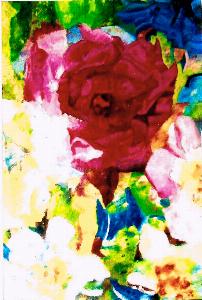 60595f221db60fc59096778223b570f4