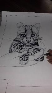 7f0d1f4689858a0ff0409b8f01934a44