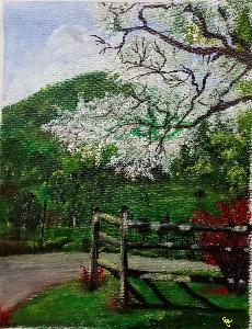 f1146be142ac9a0eeb4849d15063d86d