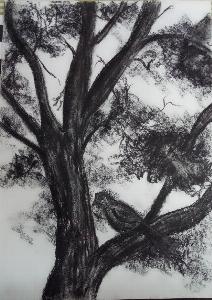 a67deaf33ae83f4b5e2280cca82b2f18