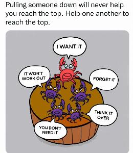 229e589c537af54bcee284a7276ca6a2