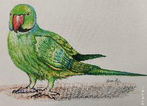 562ea55e7eeb62e923aa38f8c9aa98e9