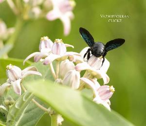 1281e50c38d5c1858902a6560effcbd0