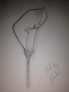 708efb10921c62a112c9edf775743454