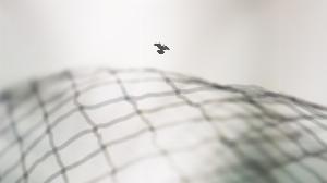 cd9e4744c788e22a0ef31f51a8b286e5