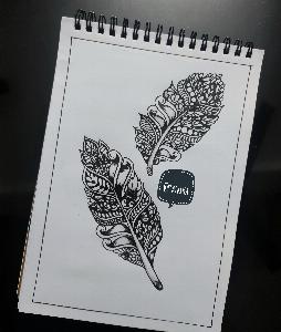 9c4ce373b01edd202e5575059a209a4c