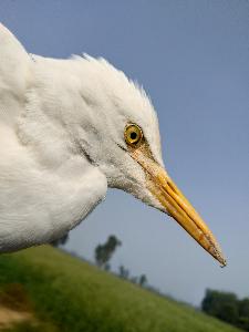 defc92b3b149d807b06d4b6019a1919c