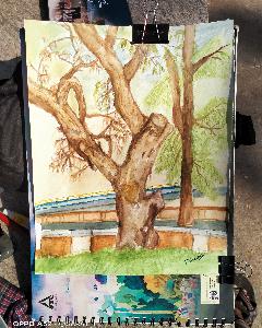 19ecf93ef7e5e55479592731e1cb3a09