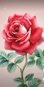 120d4b01b81169eb210d583ec1ce1dee