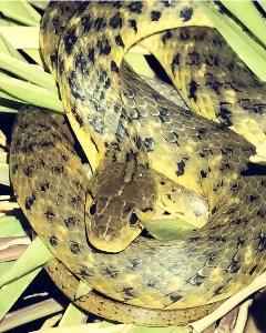 f404628683692e64b0f408a99a774a8e