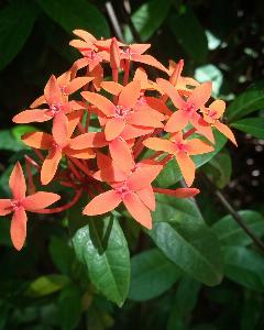 a0a1bdbfec746004f137f4aae4e5232a