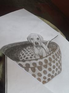 87e453b002ca28d96fa6e6ca6c99d926