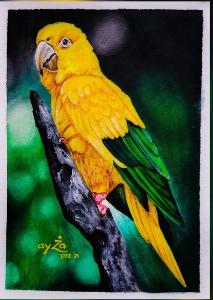 e27cf56230442223464b6033820a814a