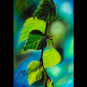 7626192fbc9e6bd7152c4e90c71f6ade