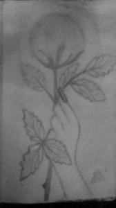 e2e629a5523be8af077871b557ad6439