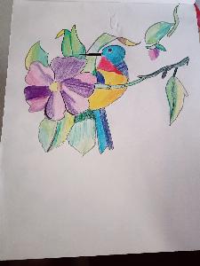 2b16005c439faf1245adf97d3a0ee853