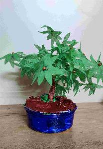 b8209374d6fc4f4e2babc1d0981a47b0