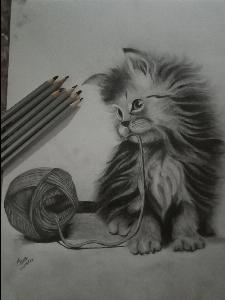 0358e74c4385f0ea906c9ccc640f83bc